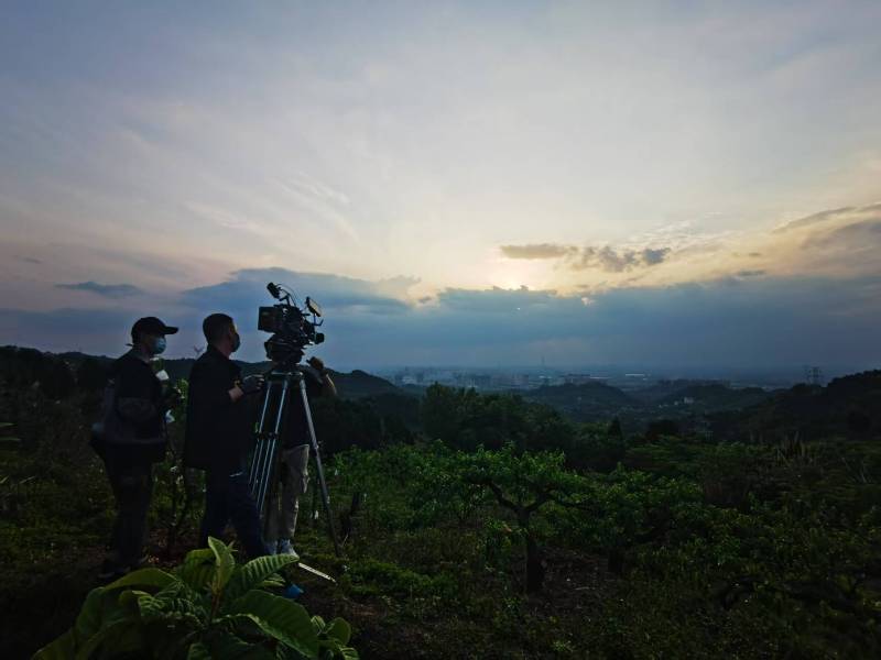 聚焦沙雅县产品宣传视频拍摄公司，用专业实力铸就品牌传播传奇