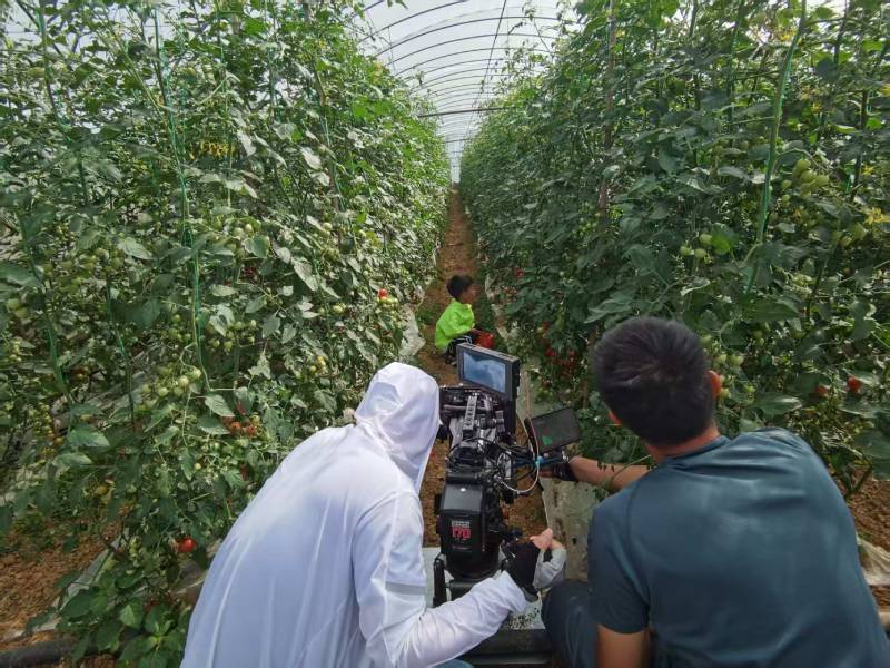 沙雅县产品宣传视频拍摄公司进阶指南，助力品牌抢占传播高地